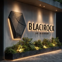 Enseignes LED 3D personnalisées Carrey pour l'extérieur, enseignes lumineuses publicitaires pour restaurants, lettres en relief pour les entreprises, logo mural, signalétique de magasin
