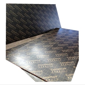 Keo Dán <span class=keywords><strong>Wbp</strong></span> Hiệu Quả Về Chi Phí Tấm Ván Ép Mặt Phenolic Lõi Dương - Product Image 4