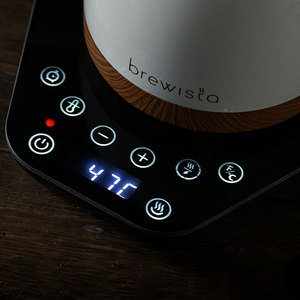 Brewista 600ml 1000ml di caffè a punta bollitore elettrico in acciaio inossidabile bollitore per il controllo della temperatura <span class=keywords><strong>caffettiera</strong></span> - Product Image 3