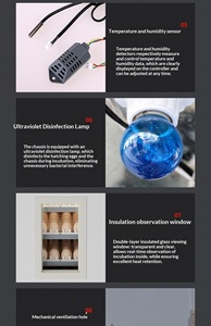 Интеллектуальное многофункциональное инкубационное оборудование нового поколения 88-5280 для выведения цыплят, инкубатор и выводилка для яиц - Product Image 3