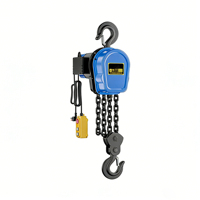 Palans électriques à chaîne de 5 tonnes, palans de levage électriques à haute efficacité 220V/380V avec télécommande pour la construction