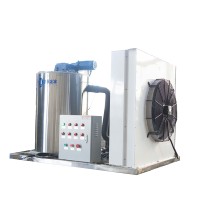 Máquina de Hielo en Escamas de 2 Toneladas de Haiyue Factory, Máquina de Hielo en Escamas Personalizada para Pescado, Máquina Comercial para Hacer Hielo en Escamas con Certificación CE