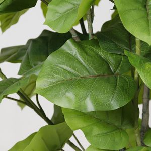 Ficus artificiel Dream Castle Heartleaf Bonsai 120cm-160cm, plante décorative d'intérieur et d'extérieur, arbre en plastique PE - Product Image 2