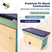 Boîte de reproduction de reines en bois multicolore avec 4 compartiments pour l'élevage national des abeilles