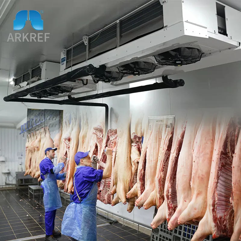 Arkref lạnh lò mổ và chế biến thịt Tủ đông lạnh lưu trữ đi bộ trong phòng lạnh