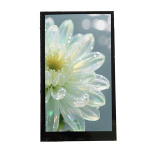 Module d'écran LCD TFT de 5,0 pouces avec rétroéclairage LED et interface MIPI de type <span class=keywords><strong>TN</strong></span>, module d'affichage de 5,0 pouces - Product Image 2
