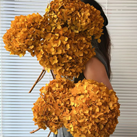 Fleur séchée d'hortensia à grandes feuilles, naturelle, de qualité supérieure, vibrante, résistante aux chocs, pour la décoration de vitrine (vente en gros)