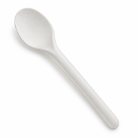 Cuillère jetable en bagasse moulée de 170 mm pour soupes, desserts et kits repas traiteur