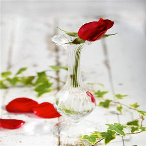 <span class=keywords><strong>Vase</strong></span> à fleurs en verre côtelé pour femmes, Mini <span class=keywords><strong>Vase</strong></span> de fleurs simple et clair, <span class=keywords><strong>Vase</strong></span> à fleurs bas, mignon et pour décoration intérieure, mariages et fleurs - Product Image 2