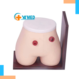 Mô hình giải phẫu y khoa mô phỏng hậu môn nhân tạo bằng nhựa PVC chất lượng cao, kích thước người thật, dùng cho việc dạy nghề điều dưỡng. - Product Image 1