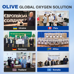 Olive oxy Máy phát điện oxy tập trung máy y tế 10 LTR giá 5L LTR 90% độ tinh khiết cao điện - Product Image 5