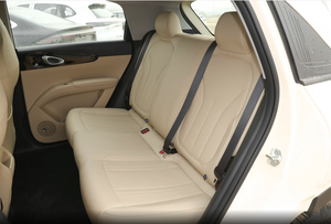 Geely <span class=keywords><strong>Galaxy</strong></span> Star Wish Edición Juvenil 310km - Product Image 6