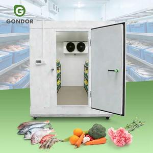 Conteneur de congélation mobile grande capacité 10m³ pour yaourt, avec unité de refroidissement, pour chambre froide et stockage de légumes en cubes - Product Image 1