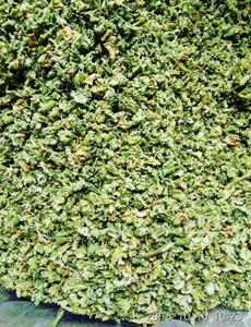 Bột Lá Cần Tây Khô Khô Rau Xanh - Product Image 6