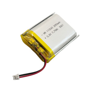 Batterie rechargeable au lithium-ion 113243/2050mAh - Product Image 2