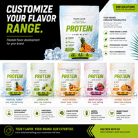 Poudre de protéines végétales saveur Punch Tropical 22g Protéines OEM Marque privée Vente en gros Fournisseur d'usine Pack