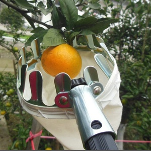 Raccoglitore di frutta in metallo frutteto giardinaggio mela pesca strumenti per la raccolta di <span class=keywords><strong>alberi</strong></span> alti raccoglitore di frutta collezioni Pouch Farm Garden Supplies - Product Image 3
