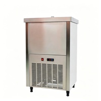 IJslollyvormmachine van roestvrij staal, 220V/110V, ijsvormapparaat
