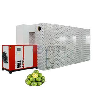 Secadora OEM con Control Inteligente de Temperatura, Secadora de Naranjas Verdes Pequeñas, Procesamiento de Frutas - Product Image 1