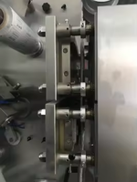 Petite machine à emballer complètement automatique de boursouflure de PVC de beurre liquide de chocolats de gomme de confiture conduite électrique