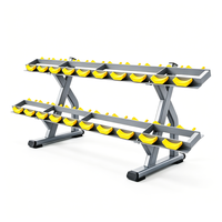 Support de rangement pour haltères à double niveau en acier robuste pour salle de sport commerciale et équipement de fitness à domicile