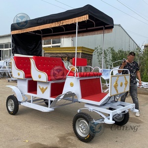 Carrozza Elettrica da Golf Economica, Design Ispirato a Carrozza per Cavalli, Carrozza Vittoria, Carrozza a Zucca di Cenerentola, per Tour Turistici in Stile Reale - Product Image 4