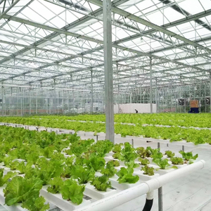 온실 농장 NFT 수경재배 시스템, 스마트 공급 장치가 있는 수경재배 구조물 - Product Image 5