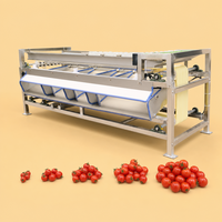 Automatische sorteermachine voor uien, mangosteen, bosbessen, dadels, avocado's en groenten; automatische fruit sorteermachine; tomaten sorteermachine