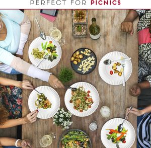 9 Inch Disposable Paper Plates Bulk Pack of Uncoated Paper Plates for <strong>Dinnerware</strong> for Meals, Parties and Picnics - Product Image 5