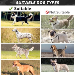 Harnais pour chien de grande taille, sans traction, en <span class=keywords><strong>nylon</strong></span> 1050D, système Molle réglable, harnais tactique pour chien, personnalisé - Product Image 5