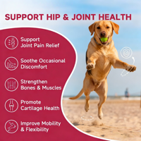 Complément articulaire pour chiens OEM ODM - Soulagement des douleurs articulaires - Glucosamine, chondroïtine, curcuma - Friandises à mâcher molles