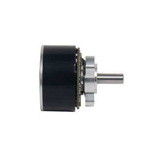 3816 BLDC <span class=keywords><strong>Motor</strong></span> sin escobillas 4000RPM <span class=keywords><strong>6000rpm</strong></span> 1000rpm <span class=keywords><strong>Motor</strong></span> de pistola de masaje 20000rpm - Product Image 2