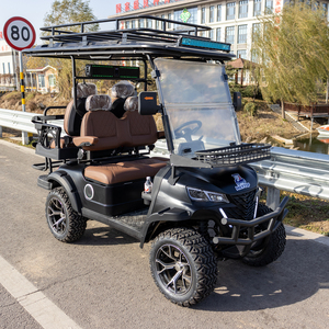 Voiture de golf électrique personnalisée noire avec batterie au lithium, 4 places, avec panneaux solaires - Product Image 6