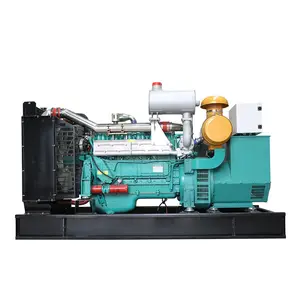 Biogas/ CNG/ LPG 150kw gas generator