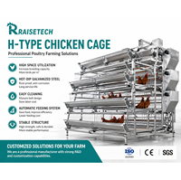 Nouvelle Cage à Batterie en Plastique Type H Personnalisée pour Volailles, Système d'Élevage Industriel Automatique pour Poulets de Chair et Poules Pondeuses, Longue Durée de Vie