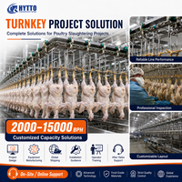 Ligne d'abattage avicole écoénergétique, machine d'abattage pour abattoir, équipement d'abattage de poulets, CE ISO, traitement automatique personnalisé