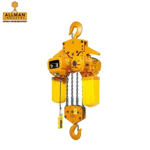 ALLMAN गर्म बेच 220V बिजली श्रृंखला लहरा 5 टन के साथ हुक निलंबन - Product Image 5