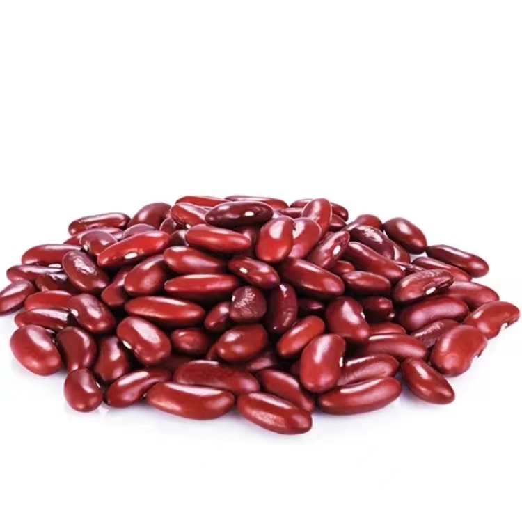 Dark red long dry red kidney beans wholesale salads are soft after cooking.