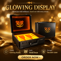 Boîte de transport VIP Ace of Spade pour champagne, mallette à vin, présentoir lumineux LED pour bouteilles, présentoir à liqueurs pour bars et discothèques