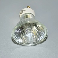 Fabricant KC/CE 110V ~ 220V GU10 Ampoule halogène NP5 Chauffe-bougie 20W 25W 35W 50W 3000K Lumières chaudes pour la maison