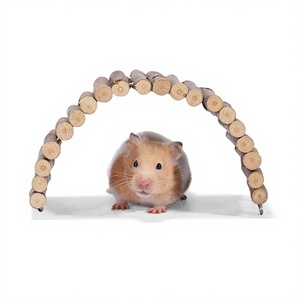 Juguete para Hámster: Valla Decorativa con Rama de Manzano, Trepador de Agujeros de Árbol, Escalera y Puente en Arco - Product Image 3