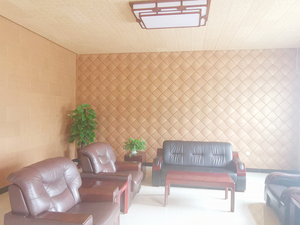 Bảng vermiculite Bluewind để chống cháy và cách nhiệt có sẵn cho nội thất của nhà CONTAINER - Product Image 3