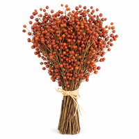 UKIQUEEN Baies de cynorrhodon préservées pour arrangements floraux de mariage, décoration intérieure et créations de couronnes
