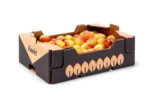 Fruit Carton Carton Box Manufacturer Double Wall Cardboard Box For Apple Strawberry Orange Pineapple Vegetable Fruit Banana Custom Shipping Carton Box