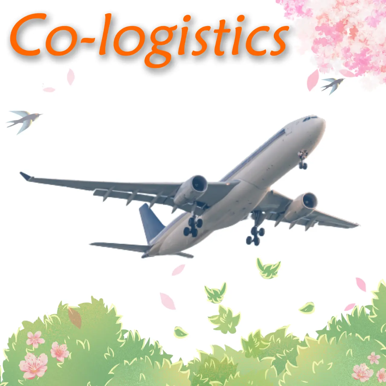 Trasporto aereo di merci da guang dong a Napoli italia cina agente di acquisto container spedizioniere logistica internazionale
