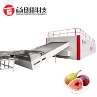 ShouChuang Fig Guava Hetelucht Droogmachine Bandtype Dadelpalm Perzik Abrikoos Ananas Continue Fruitdroogmachine 20kw