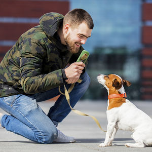 2025 Bully sopa tutucu küçük boy interaktif köpek oyuncak köpek bakımı tutucu yavaş besleyici çiğnemek köpek güvenlik cihazı - Product Image 6