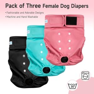 Culotte/culotte-culotte pour chienne en polyester écologique lavable – Sous-vêtements pour chien - Product Image 2