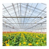 Serres en verre intelligentes commerciales HUIFA, vente chaude, utilisées pour la culture hydroponique, avec système de refroidissement par coussin et ventilateur