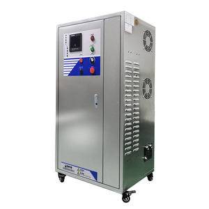 60 g/h source d'oxygène de haute qualité générateur d'ozone industriel éliminateur d'odeurs de fumée de voiture machines de traitement de l'eau - Product Image 5
